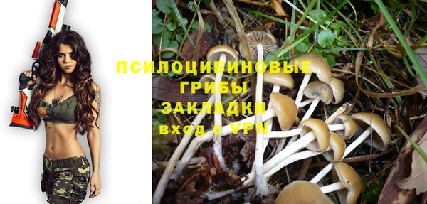 apvp Протвино