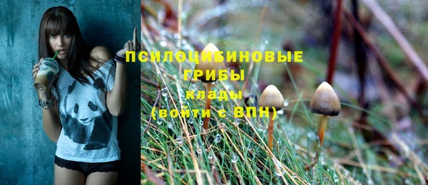 apvp Протвино