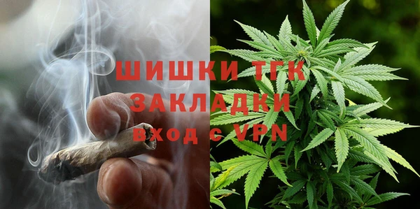 прущие грибы Приозерск