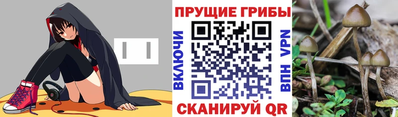 Галлюциногенные грибы GOLDEN TEACHER Каневская