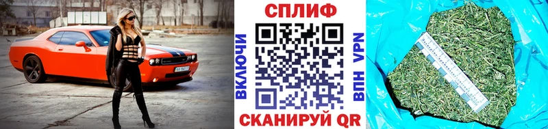 мориарти Telegram  Каневская  Конопля AK-47  закладки 